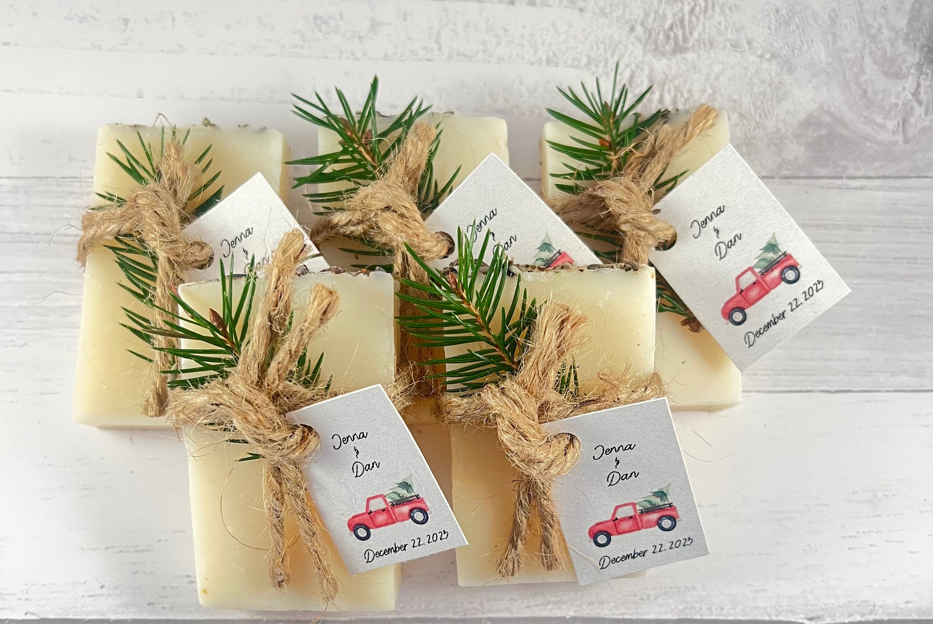 Christmas holiday party favors and fashion decorations